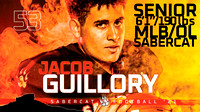 GUILLORY SR POSTER