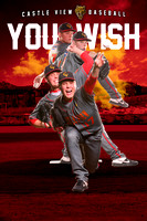 POSTERS 24X36 - PITCHER YOUWISH