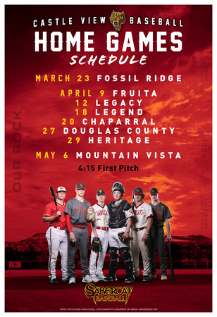 HYPE POSTERS-HOME SCHEDULE