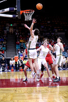 0106Regis-vs-Rock-Canyon-State-Tourney-3.4.23-by-Jay-Weise
