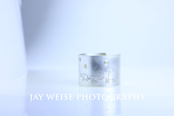 144-Beth Van deWater Jewelery Tests-by-Jay-Weise
