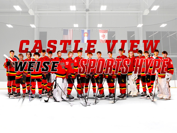 Team on Rink Ghosted-CV=POSTER PHOTO-VARSITY